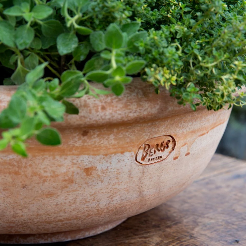 Bergs Potter – Erbe Potte, Rosa – Ø50cm - Bilde 2
