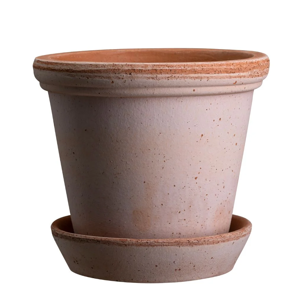 Bergs Potter – Flora Potte, Rosa – Ø21cm med skål